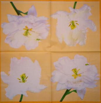 029 Rosen - 3-lagig (blau)